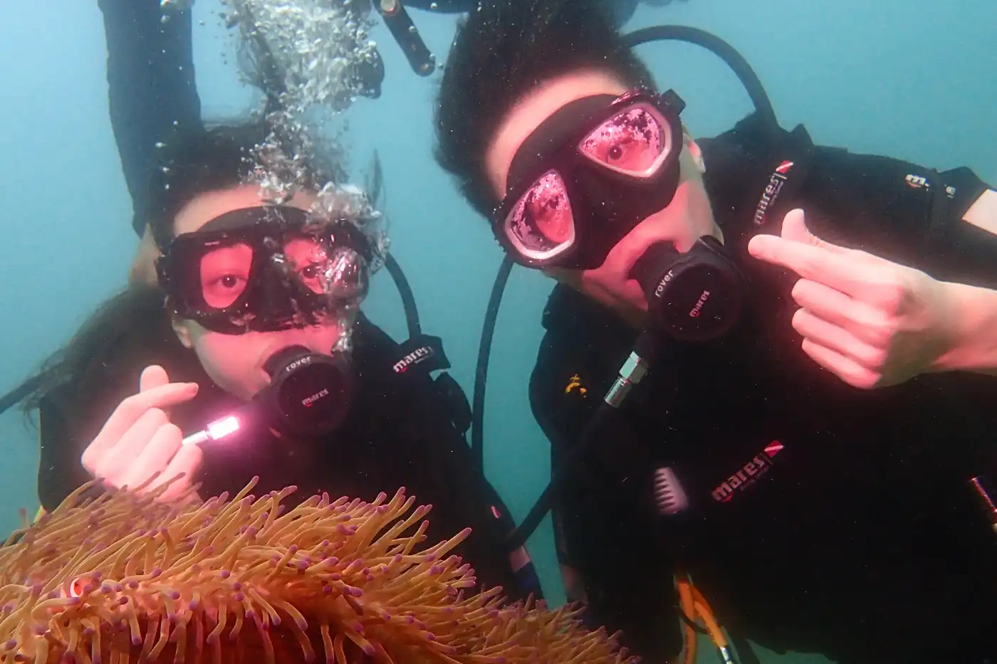 Two scuba divers giving thumbs-up near a sea anemone in Mantanani Island waters.