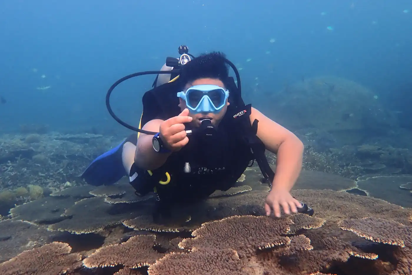 Scuba diver exploring coral reefs at Mantanani Island, Sabah, with clear visibility and diverse marine life.