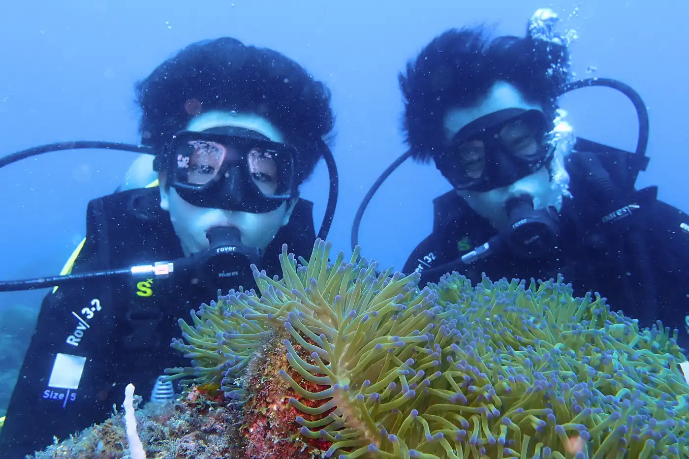 Two scuba divers exploring coral reefs near Mantanani Island, observing marine life in clear blue waters.