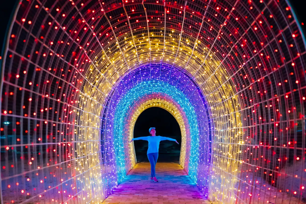 Light Garden