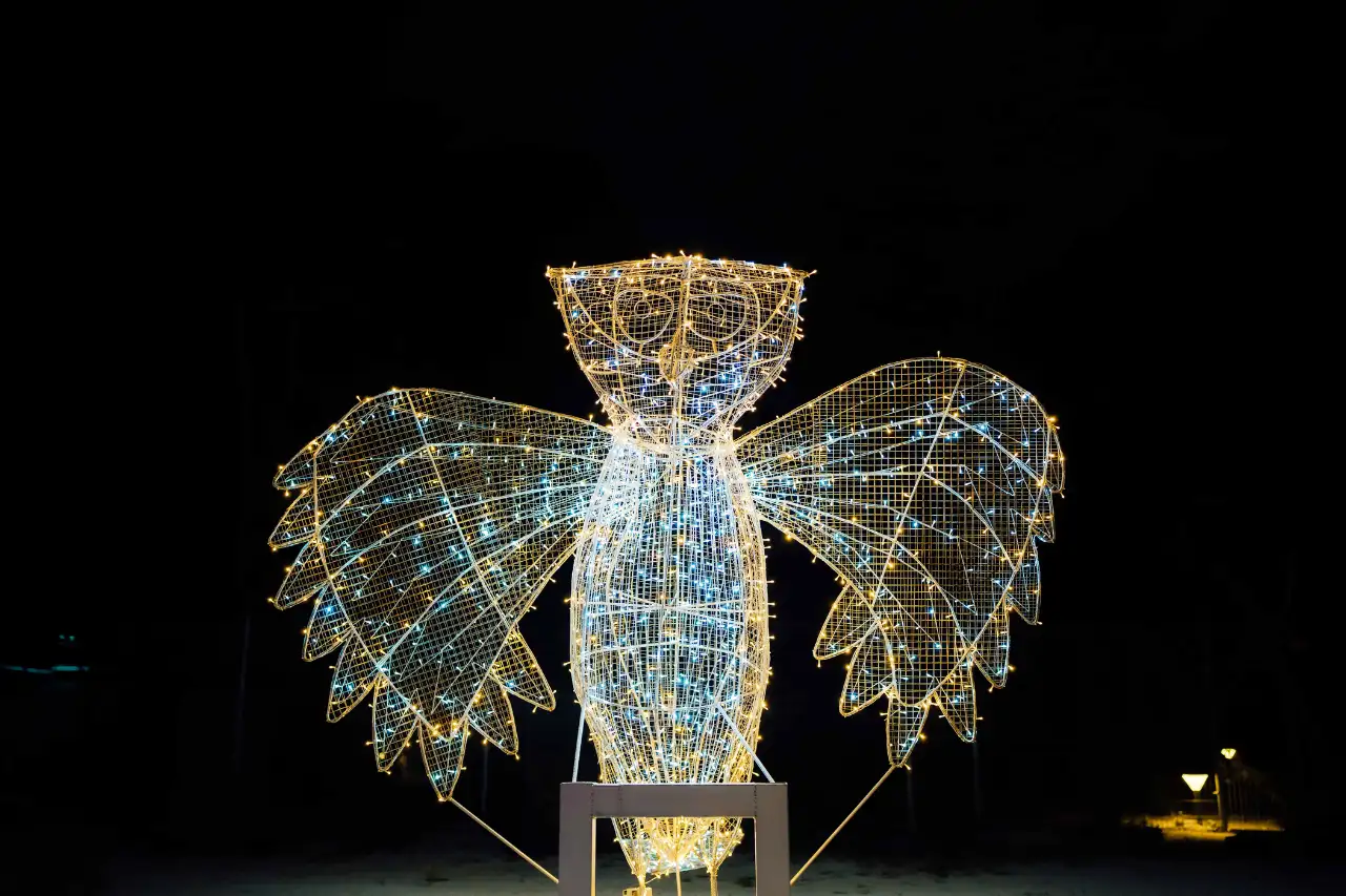 Light Garden