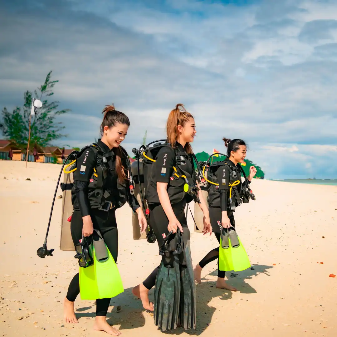 Casual diving experience