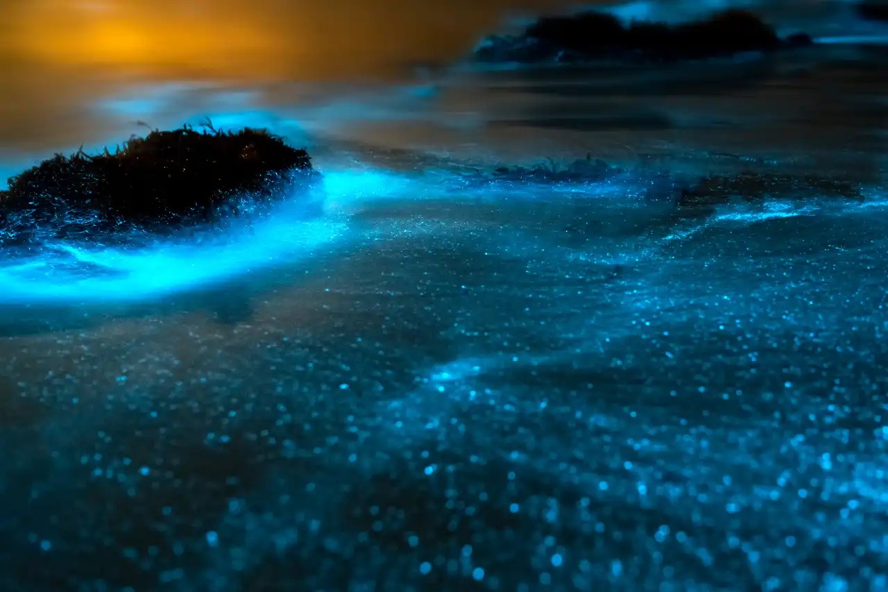 Blue Tears