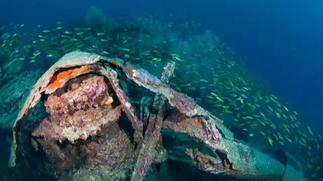 ship wreckage